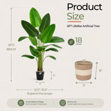Bird of Paradise Artificial Plant 6 ft Tall, 2 Pack, Green