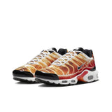 Nike Air Max Plus 'Light Photography'