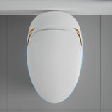 Unique Smart Toilet with Built-In Bidet