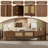 76" Modern Rattan Doors TV Stand with Storage - Neutral