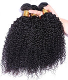 Brazilian Kinky Curly Human Hair Wigs Wholesale