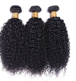 Brazilian Kinky Curly Human Hair Wigs Wholesale