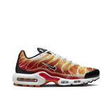 Nike Air Max Plus 'Light Photography'