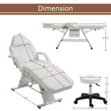 Massage Salon Tattoo Chair with Two Trays and Hydraulic Stool