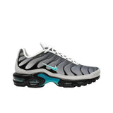 Nike Air Max Plus 'One Block Down Matte Silver'