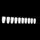 Long Ballerina False Nails Full Coverage
