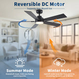 52" Matte Ceiling Fan with Light