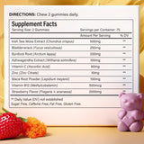 Sea Moss Gummies | Strawberry Flavor Vegan Gummies | Extra Rich 9-in-1 Formulation with Irish Sea Moss, Elderberry, Bladderwrack, Burdock, Ashwagandha, Maca, Zinc, B12 | Energy & Immune Support