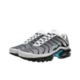 Nike Air Max Plus 'One Block Down Matte Silver'