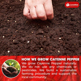 Premium Cayenne Pepper Powder– Pure Ground Red Pepper, Bold and Spicy Flavor