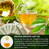 Premium Soursop Leaves Tea Bags