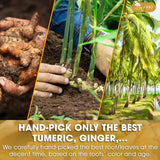 Premium Golden Milk Powder - Turmeric, Cinnamon, Ginger & Black Pepper – Natural Spice Blend for Lattes, Smoothies & Baking