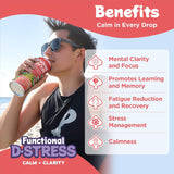 Mushroom D-Stress Drink 12 Pack - Watermelon Elderflower