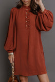 Coffee Solid Shift Long Sleeve Short Length One Piece Dress