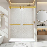 Frameless Double Sliding Shower Door - 57-60 Inch (10mm Thick)