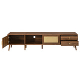 76" Modern Rattan Doors TV Stand with Storage - Neutral
