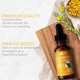 Mullein Drops for Lungs Cleanse Support, Mullein Extract Liquid – 100% from Natural Mullein Leaves, Non-GMO, Gluten-Free