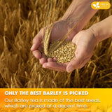 Premium Barley Tea Bags, 100% Natural & Pure from Barley. Loose Barey Herbal Tea. No Sugar, No Caffeine, No Gluten, Vegan.