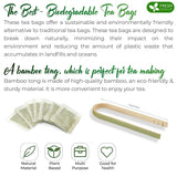 Premium Green Tea Bags, 100% Natural & Pure from Green Tea. Green Herbal Tea. No Sugar, No Gluten, Vegan