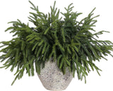 YXZZWL 16 Pcs Christmas Norfolk Pine Branches, 18 Inch Real Touch Artificial Norfolk Pine Branch Faux Cedar Pine Stem Fake Greenery Picks for Vase DIY Garland Wreath Home Decoration