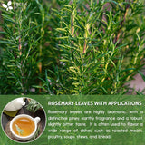 Premium Rosemary Leaves, Tea Bags, Powder, 100% Natural & Pure from Dried Rosemary Leaves, No Additives, No Caffeine, Vegan. Dried Rosemary Herb, Perfect for Seasoning, Spice Blends for Grilling & Cooking
