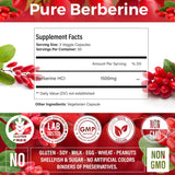 Premium Berberine Supplement, Non-GMO, Gluten-Free