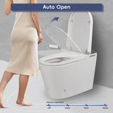 Tankless Smart Toilet With Bidet Built In