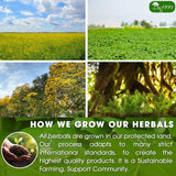 Premium Senna Peppermint Tea Bags. Relieves Constipation Natural Tea
