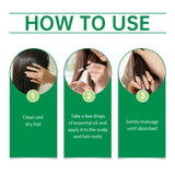 Hoegoa Rosemary Hair Care Essential Oil Nourishes, Strengthens And Moisturizes Hair