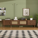 76" Modern Rattan Doors TV Stand with Storage - Neutral