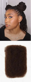 Rebecca Afro Kinky Bulk Human Hair for Braiding | Remy Virgin Brazilian Extensions (Multi-Color)