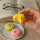Andy Anand French Macarons, 48-Piece Gift Box – Made Fresh Daily, Decadent Assorted Flavors, Gluten-Free – Birthday & Holiday Gift Box