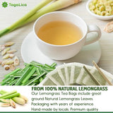 FreshDrinkUS Morning Vitality Digest & Detox Mix, Fennel, Ginger & Lemongrass Herbal Tea Bags Bundle, 100% Natural & Pure Seeds and Leaves, No Sugar, No Caffeine, No Gluten, Vegan, Biodegradable Tea Bags, Hand-Made Process – Herbal Beverage