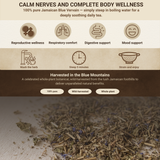 Jamaican Blue Vervain (Wildcrafted)