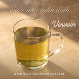 Jamaican Blue Vervain (Wildcrafted)