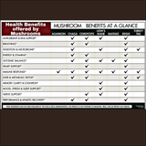 Wild Canadian Chaga Elixir