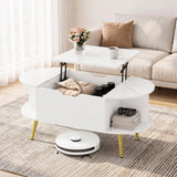 Lift Top Coffee Table with Hidden Compartment and Shelves