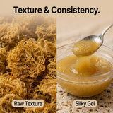 Jamaican Gold Irish Sea Moss