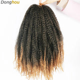 18 Inch Marley Hair for Braids | Afro Kinky Ombre | 30 Strands per Pack