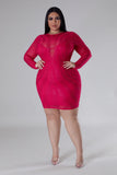 Always Involved Dress - Plus Size