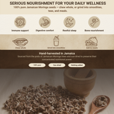 Jamaican Moringa Oleifera Seeds (Raw, Organic)