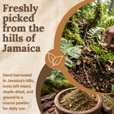 Jamaican Kalawalla Herb | Calaguala | Polypodium Sp. | 2 oz coarse powder