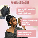 StariaHair Water Wave Crochet Human Hair Lightweight for Miracle Knots