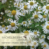 Relaxation Honey Tonic