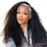 Mongolian Kinky Curly Human Hair Wig | 13x4 Lace Front or 4x4 Closure