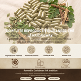 Moringa Medina Capsules