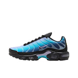 Nike Air Max Plus 'Black Hydrangeas'