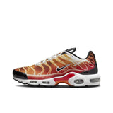 Nike Air Max Plus 'Light Photography'