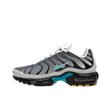 Nike Air Max Plus 'One Block Down Matte Silver'