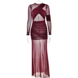 Sexy Mesh See through Maxi Dress Long Sleeve Sexy Pleated Slim Fit Dress